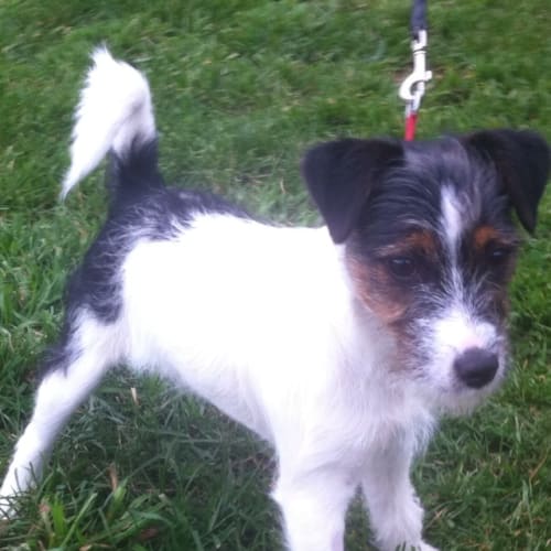 No photo for Ben