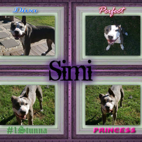 No photo for Simi