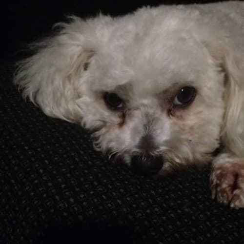 Milly