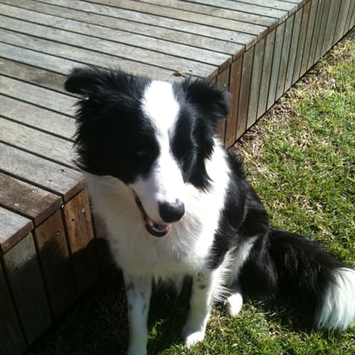 No photo for Xena