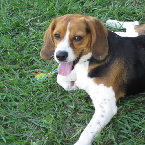 No photo for Max($400)