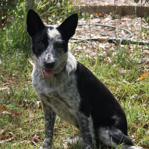 No photo for Lilly On Trial