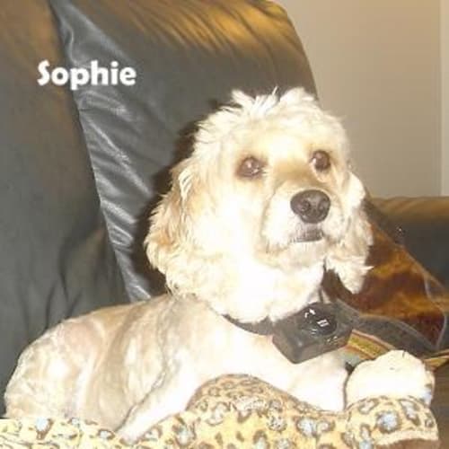 No photo for Rani And Sophie