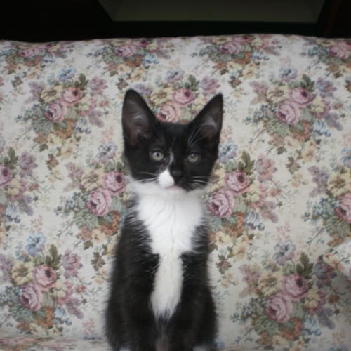 No photo for Jemima