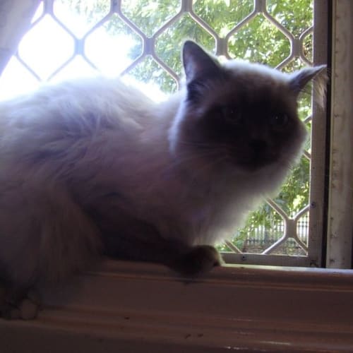 No photo for Tarquin (Parker)