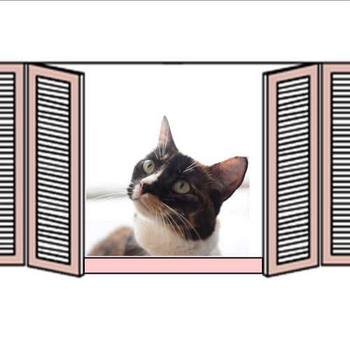 No photo for Nahla