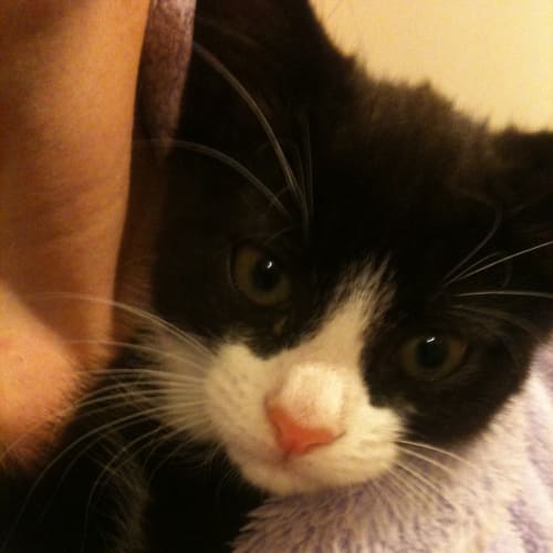 No photo for Flo