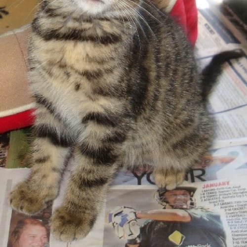 No photo for Theodore