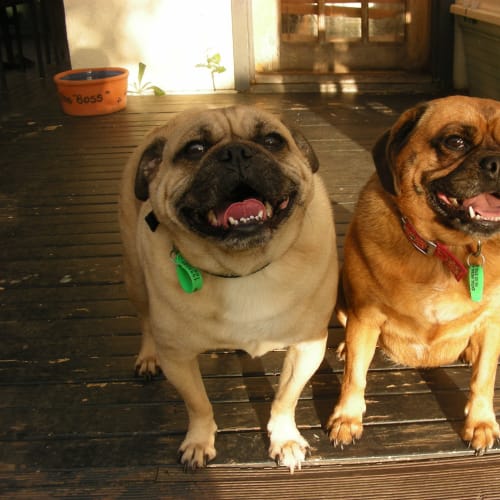 No photo for Jake & Millie