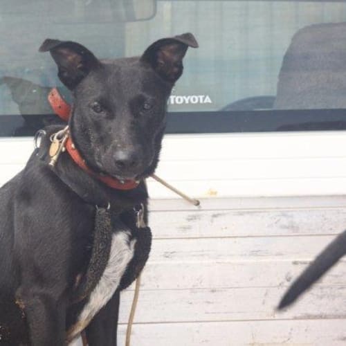 No photo for Tanya/Located In Karratha