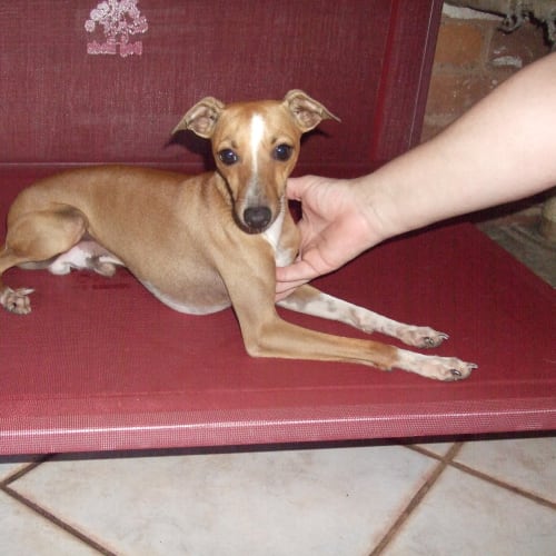 No photo for Tom ***On Hold***