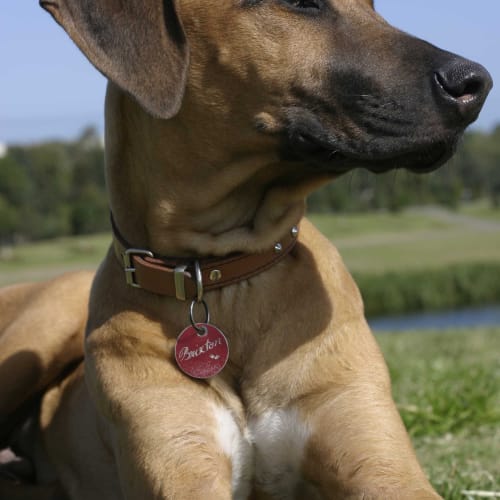 No photo for Brixton