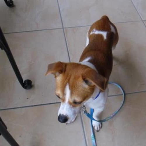 No photo for Max On Trial