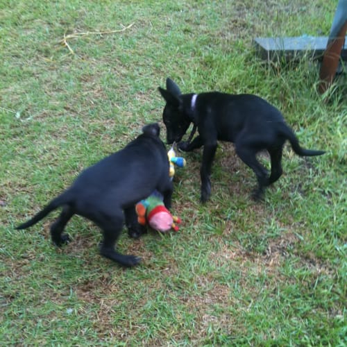 No photo for Stripes On Trial