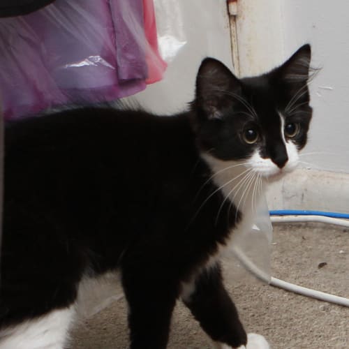 No photo for Charlie