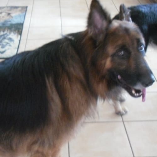 No photo for Lucas On Trial With His New Family