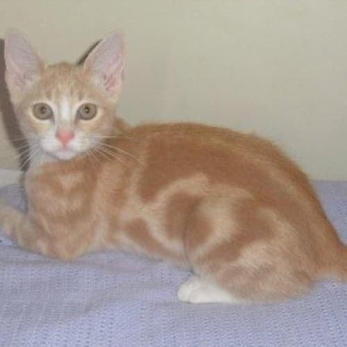 No photo for Chloe