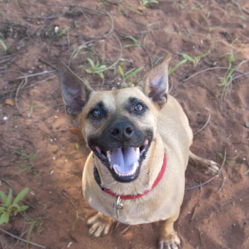 No photo for Jack(hd032)