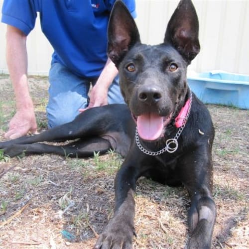 No photo for Chrissy