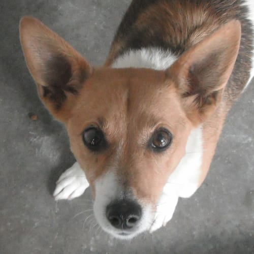 No photo for Pip 702180