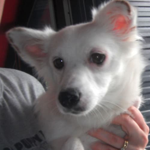 No photo for Missy 702202