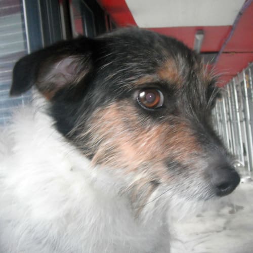 No photo for Jack 702164