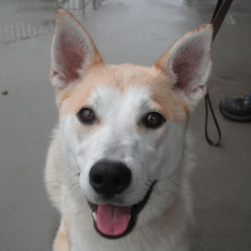 No photo for Holly 701978