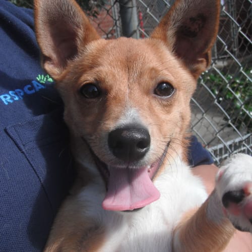 No photo for Freddy 702065