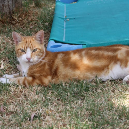 No photo for Maxi Mum