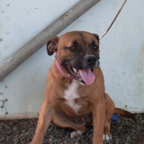 No photo for Cee Cee