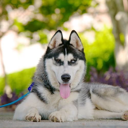 No photo for Maverick