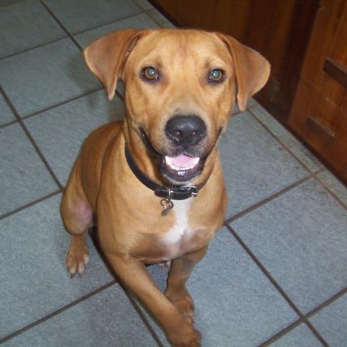 Max