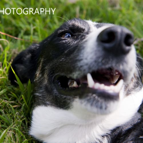 No photo for Susie