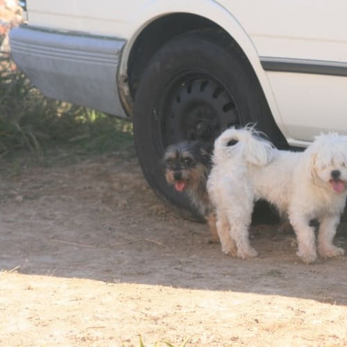 No photo for Avril   On Hold