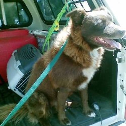 No photo for Charlie