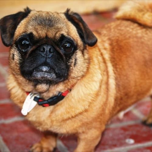 No photo for Harriet