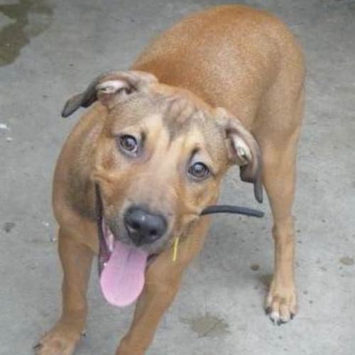 No photo for Samantha