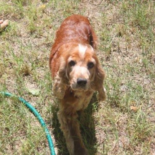 No photo for Nonyi/Adopted