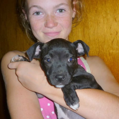 No photo for Tina 'New Home Pending'