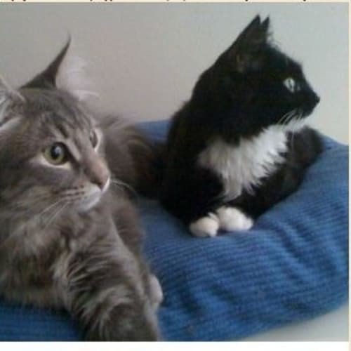 No photo for Smokey & Harley