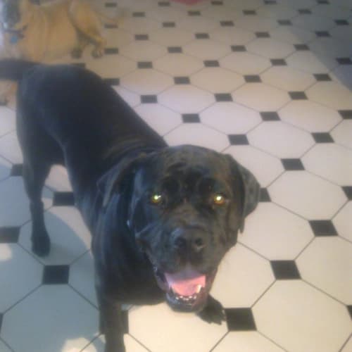 No photo for Maxie