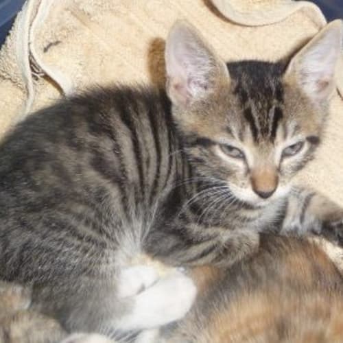 No photo for Washington