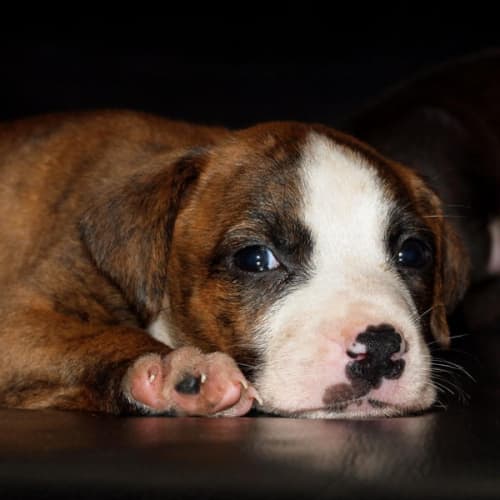 No photo for Sabrina