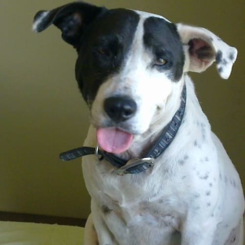 No photo for Matilda