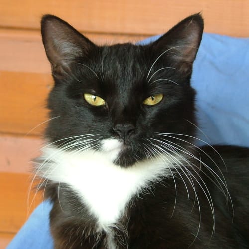 No photo for Tabitha