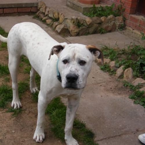 No photo for Suzy (Trying Out A New Home)