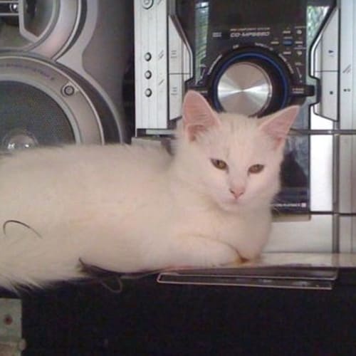 No photo for Abigail