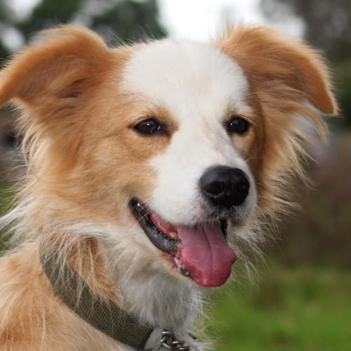 No photo for Charlie