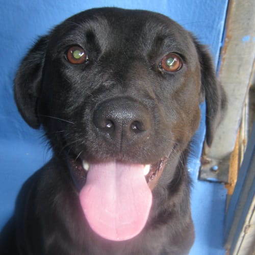 No photo for Lily 704282