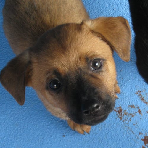 No photo for Katerina 703381 And Odette 703379